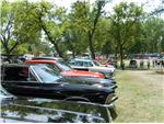 Car Show