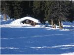 Cabin @ Hassler