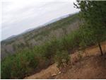 A trail view.