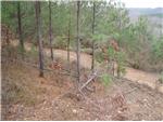 Another trail view.