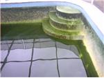Green pool clean-ups