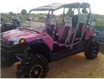 Polaris RZR 4 PINK