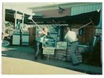 Kansas State Fair 1977