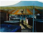Kansas State Fair 2001