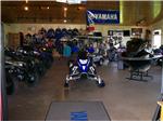 The Showroom