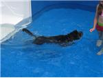 Can't wait for the pool to fill up!