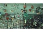 Semi-Precious Stones