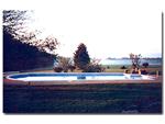 Single Bowed End Pool.18' X 38' with center step.