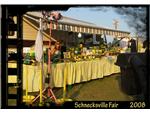 Our display at the Schnecksville Communiy Fair 2008.