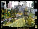 Some of the toys we had displayed at the Kempton Country Fair 2008.
