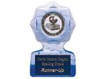 Acrylic Trophy