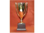 Traditional Trophy