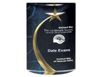 Acrylic Award
