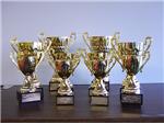 Traditional Trophies