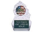 Acrylic Trophy