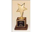 Corporate Award