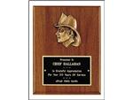 Plaque