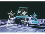 Acrylic Award