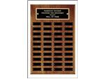 Plaque