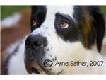 Annie
