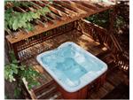 Sundace Maxxus With Surrounding Deck