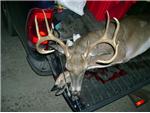 Jim Jackson 2008