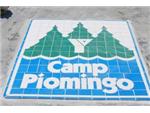 Camp Piomingo Pool