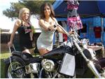 Mike's 54 Panhead