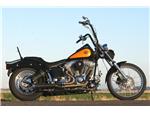 Dan Parker Softail