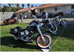 Dave Mann Chopperfest