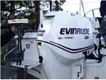 1.5HP vs 300HP EVINRUDE