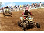 RedBud - round 10