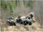 MUDDIN