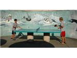 Ping Pong Tables